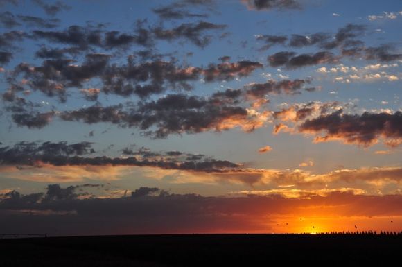 Tiempo loco: riesgo de helada primero, temperaturas veraniegas después