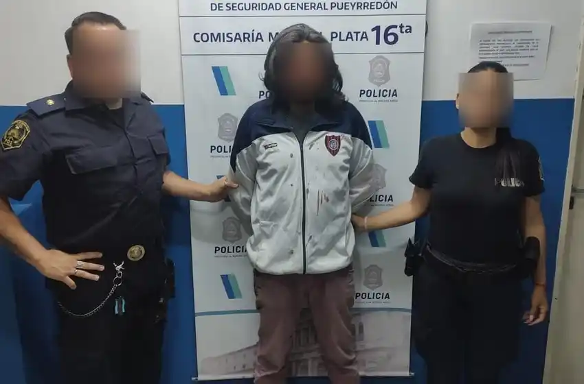 Detienen a un exhibicionista que además agredió a transeúntes con una pala
