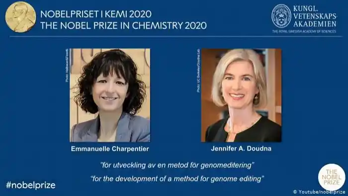 Premio Nobel de Química para dos mujeres que descubrieron el método de la edición de genes