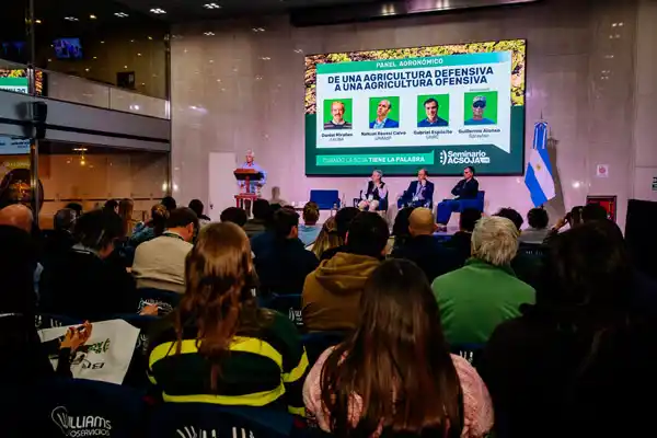 Con siembra directa ya no alcanza: especialistas advierten sobre la necesidad de nuevas estrategias para mejorar el rendimiento de la soja