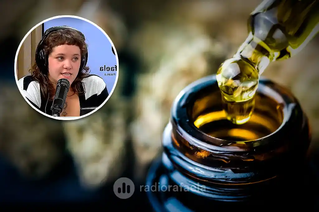 Incertidumbre en Rafaela por el golpe del gobierno para “eliminar” el cannabis medicinal