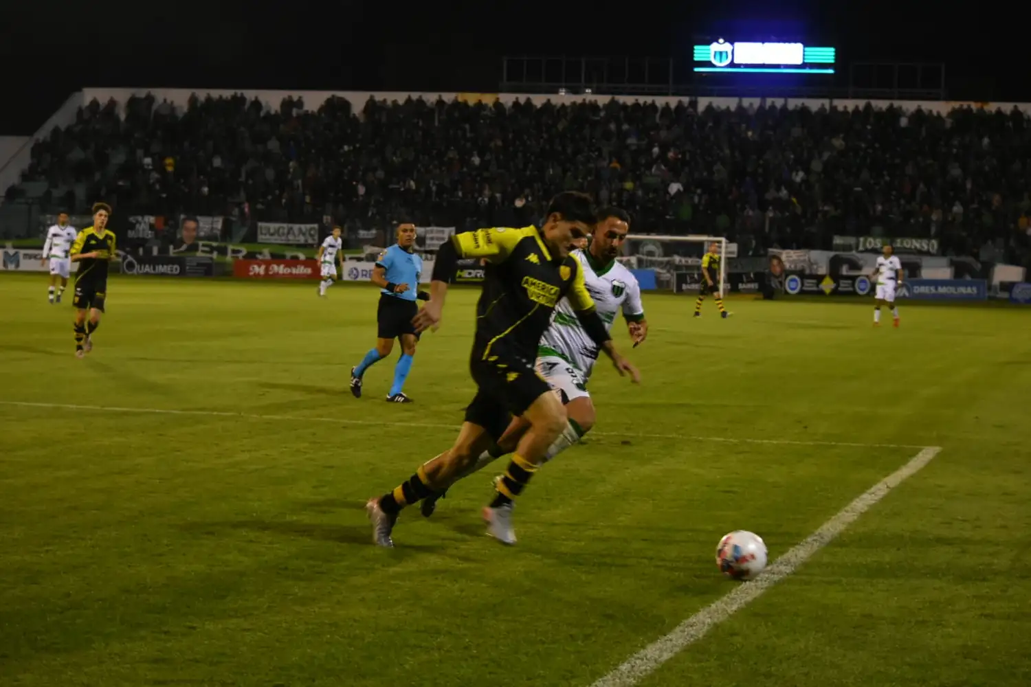 Palmieri cumplió la suspensión y está para volver.