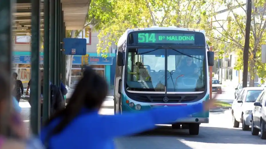 Bahía Blanca: Mujer atacó con una navaja a un chofer de la línea 514