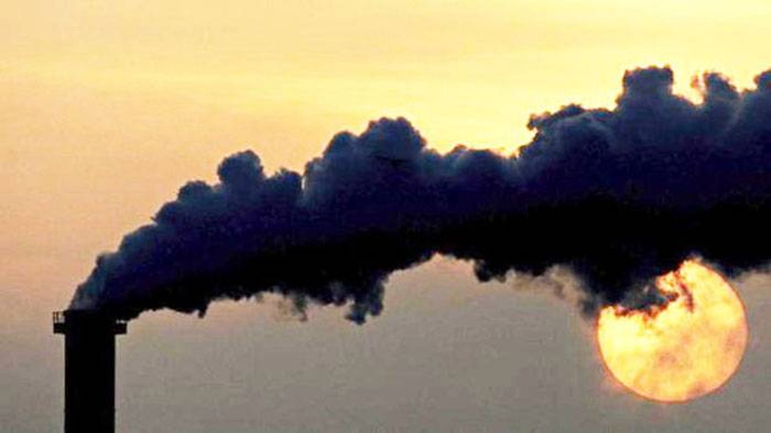 La OMS considera ahora «peligrosos» los niveles de contaminación del aire que antes eran «seguros»