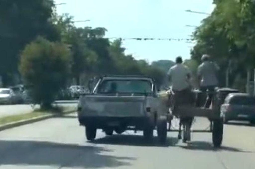 Choca con la camioneta a un caballo