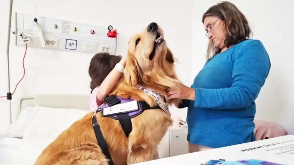 Los animales cumplen actualmente roles sociales de gran relevancia en su vinculación con los humanos