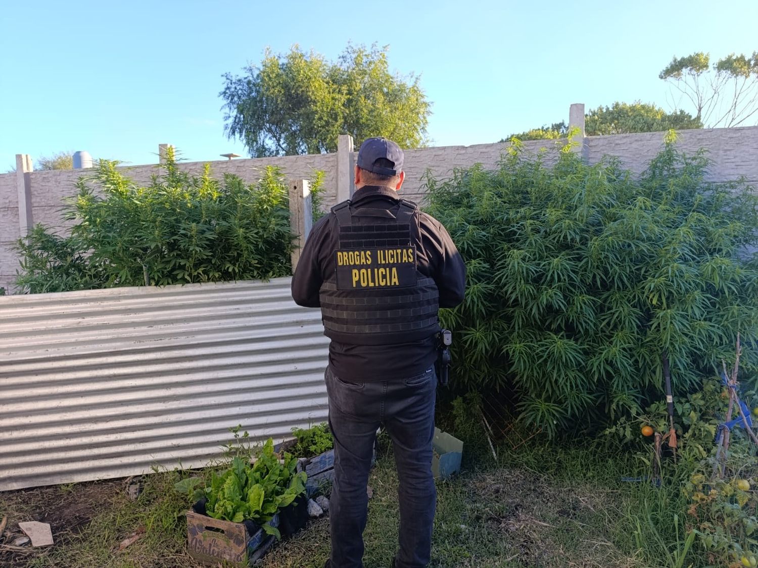 El allanamiento fue en el Barrio Félix U. Camet, en calle Joinville (ex 30) al 1200.