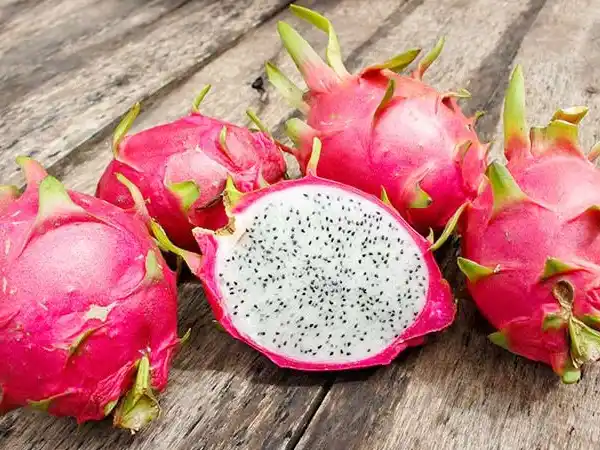 Primer encuentro sobre Pitayas en Concordia