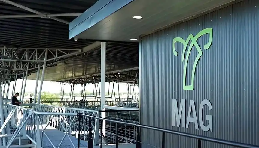 Comenzó a operar el Mercado Agroganadero de Cañuelas con el ingreso de más de 10.000 cabezas