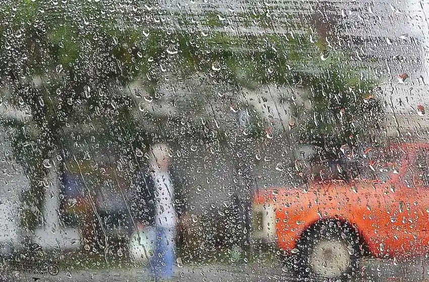 Para un café caliente: mañana fresca, húmeda y lluviosa