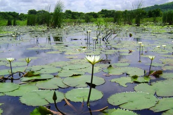 La Provincia avanza en la protección de sus humedales