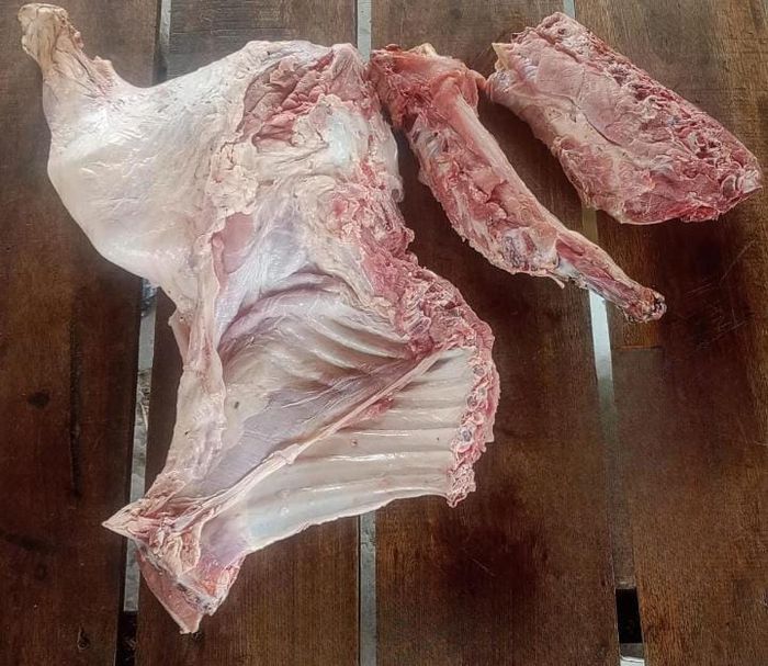 “Los Pumas” secuestraron armas, municiones, pescados y carne de dudosa procedencia en distintos operativos - 4