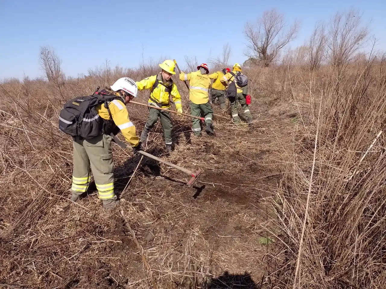 El intendente de Rosario denunció nuevas quemas en islas entrerrianas