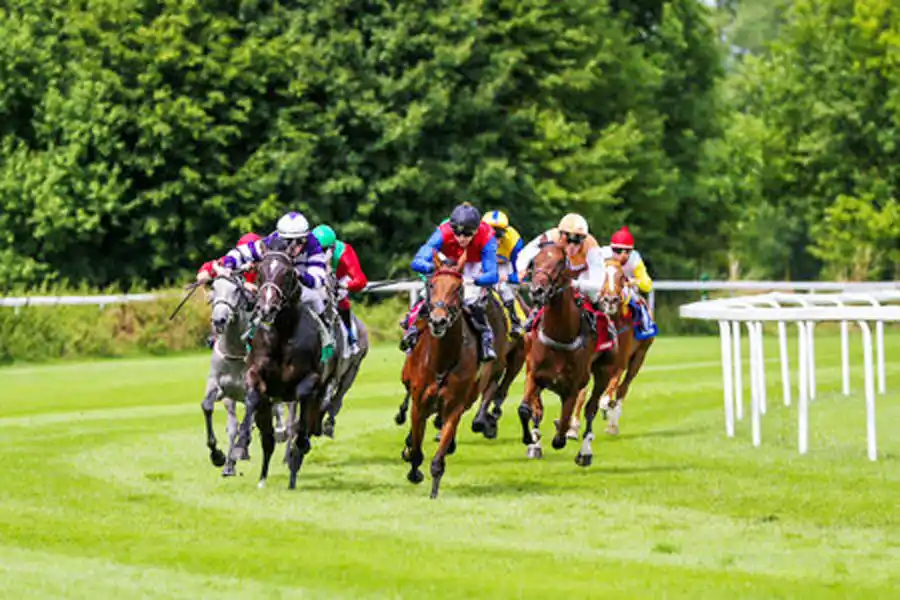 Viernes 27: Actividad Hipódromo de San Isidro