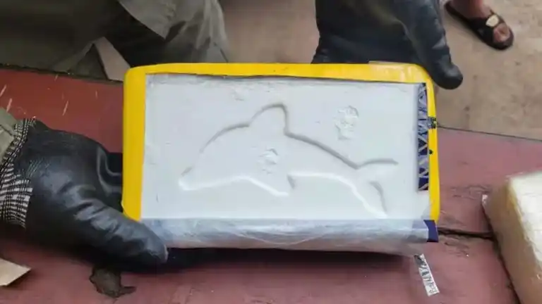 Un nuevo ladrillo con el sello del delfín fue secuestrado en La Plata.