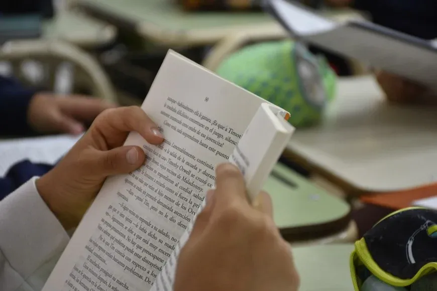 El Plan de Apoyo a la Alfabetización en 3er Grado arrancará este primer semestre. Foto: Flavio Raina.
