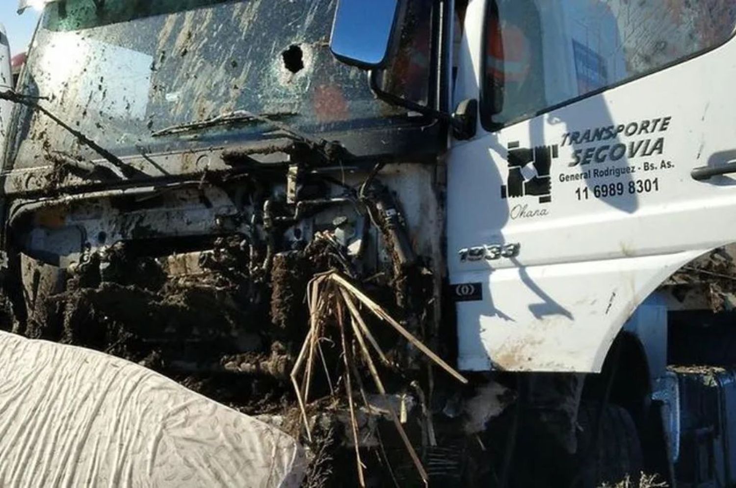 Daireaux: atacaron a un camionero, le hicieron perder el control, y murió