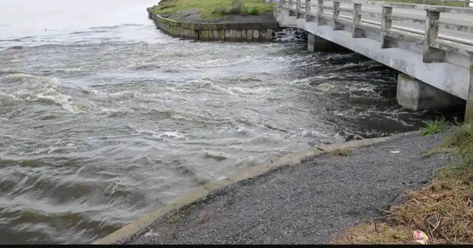 Río Samborombón Chico