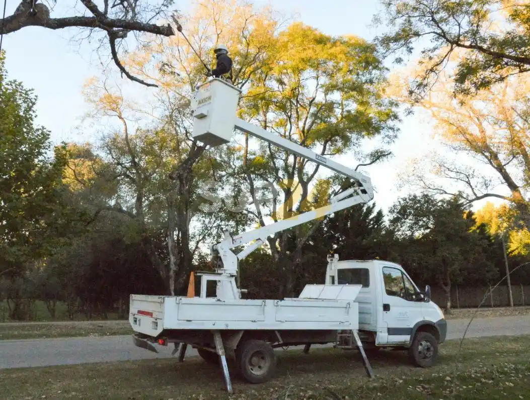 Se intensifican los trabajos de poda en distintos barrios de Venado