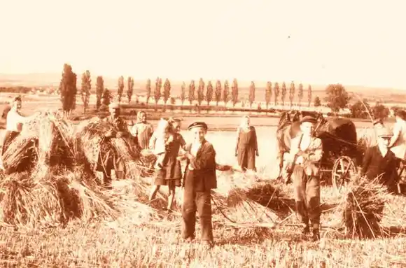 Los 12.000 años que cambiaron para siempre a los humanos