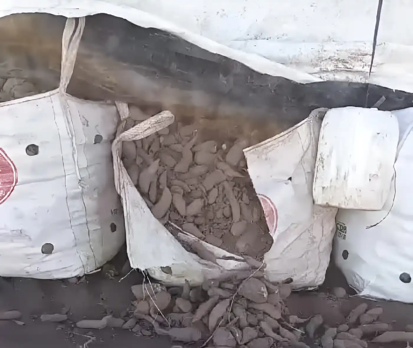 Eligieron y se llevaron las batatas a plena luz del día en una finca de la zona de El Espinilo