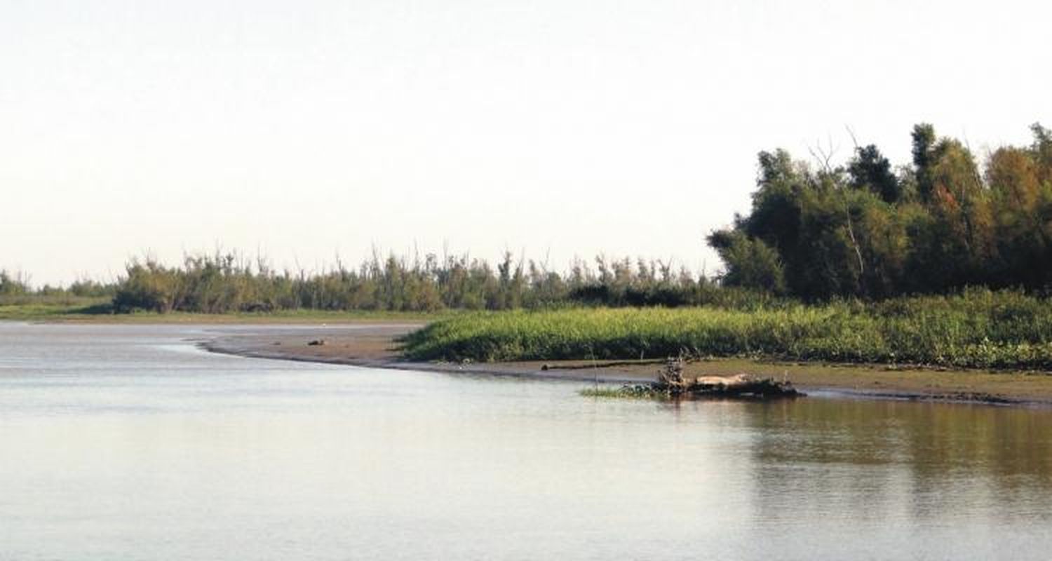 Bajante del río Paraná: Por qué la apertura de compuertas no impactará en San Pedro