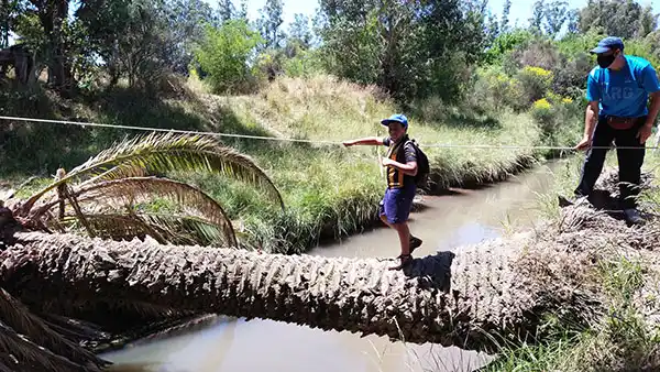 Los chicos disfrutan de los talleres de Vida en la naturaleza