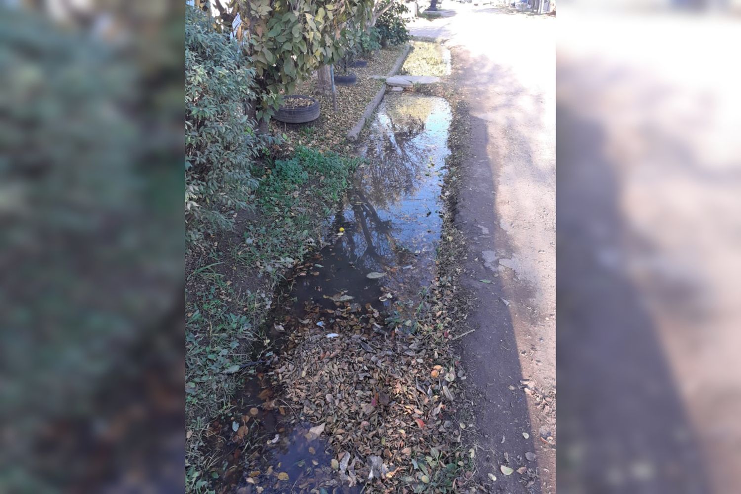 Reclamo por cloacas tapadas