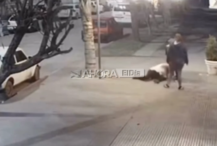 El video de la brutal agresión que sufrió una estudiante: tirones de pelo, trompadas y patadas