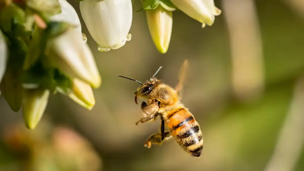Día Mundial de las Abejas: por qué el futuro de nuestra alimentación depende de proteger su zumbido