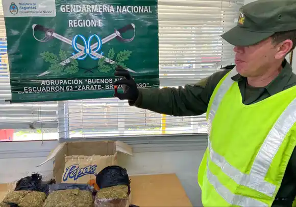 Hallaron marihuana en una encomienda y mediante una entrega vigilada detuvieron al destinatario