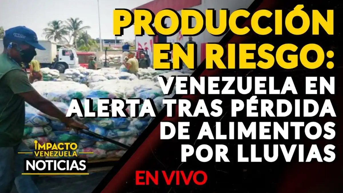 PRODUCCIÓN EN RIESGO: Venezuela en alerta tras pérdida de alimentos por lluvias – VIDEO IMPACTO VENEZUELA