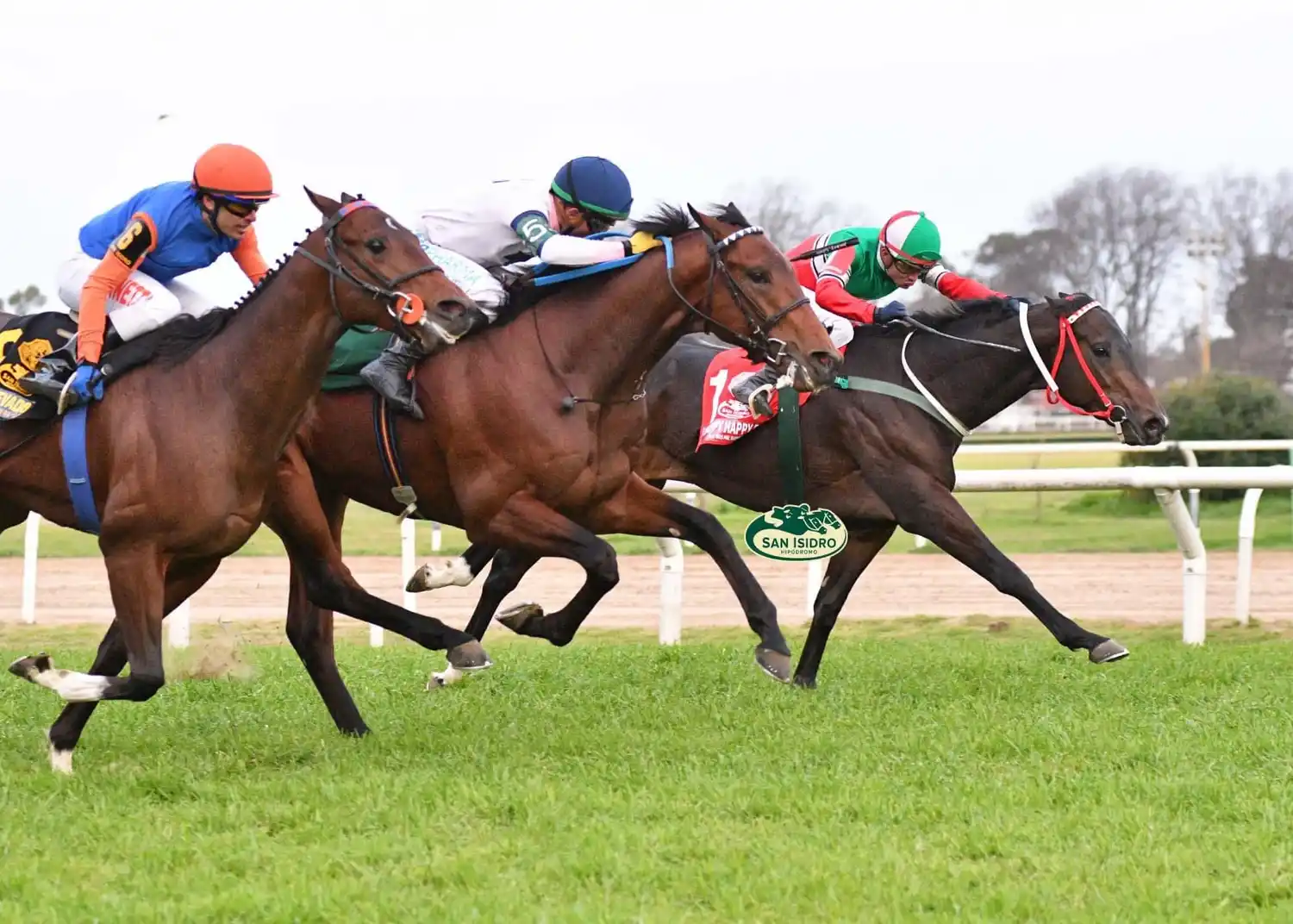 El Hipódromo de San Isidro ofrece una atractiva jornada