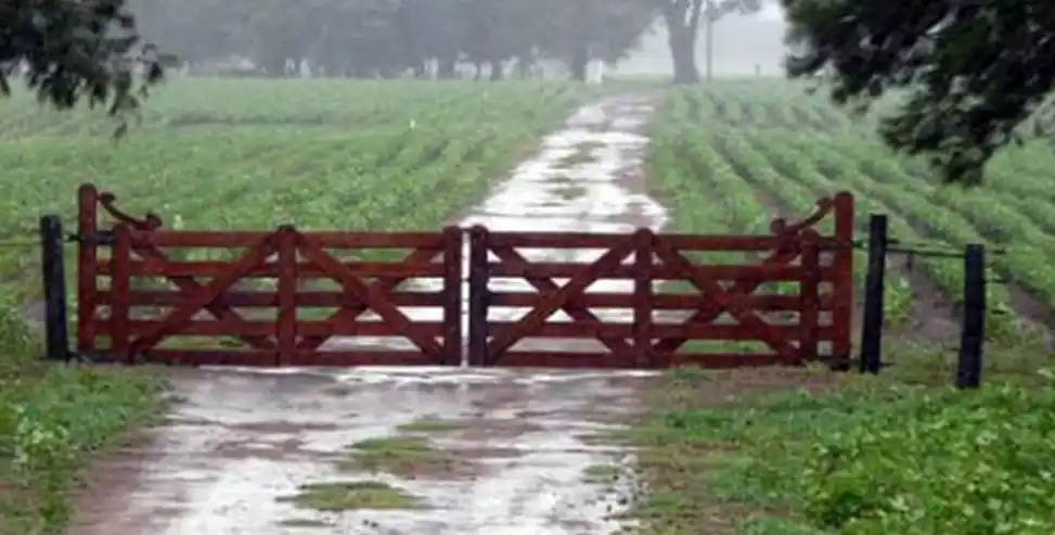 Lluvia en la madrugada
