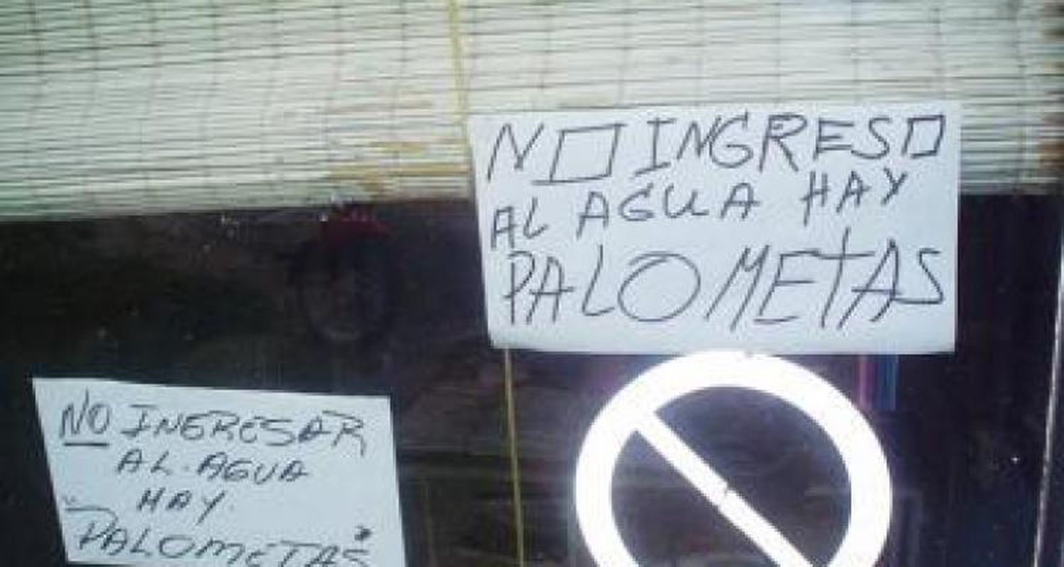 16 personas sufrieron mordeduras de “Palometas”