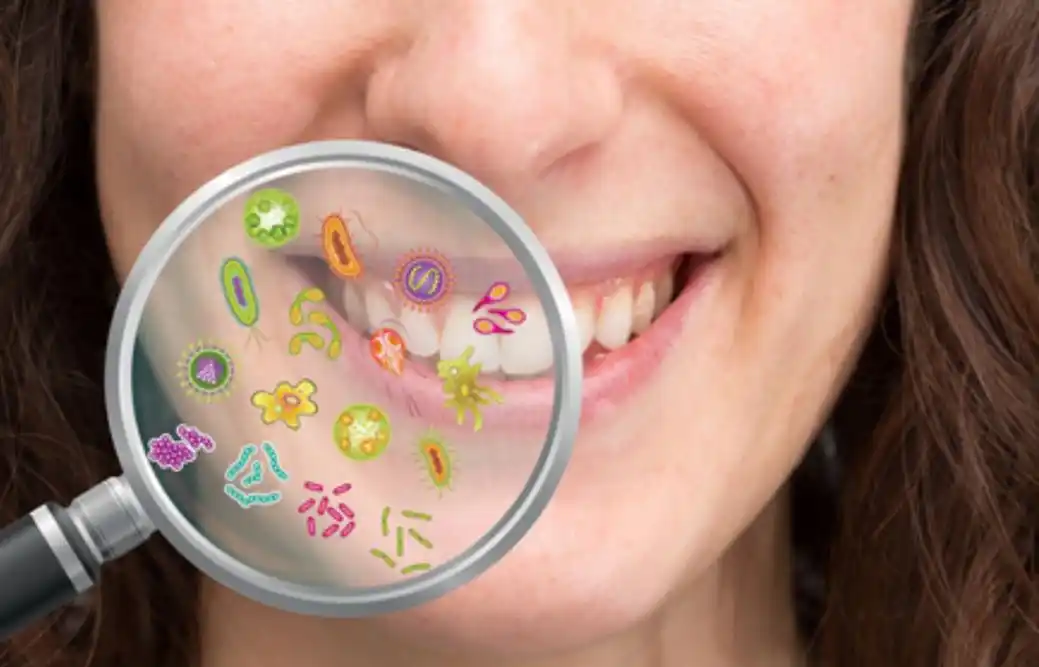Tu boca, el ecosistema que cuida tu corazón, tu intestino y tu cerebro