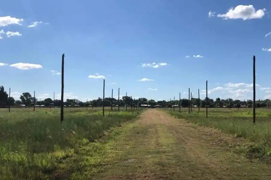 Una estafa de casi $80 millones a compradores de un loteo que no existe