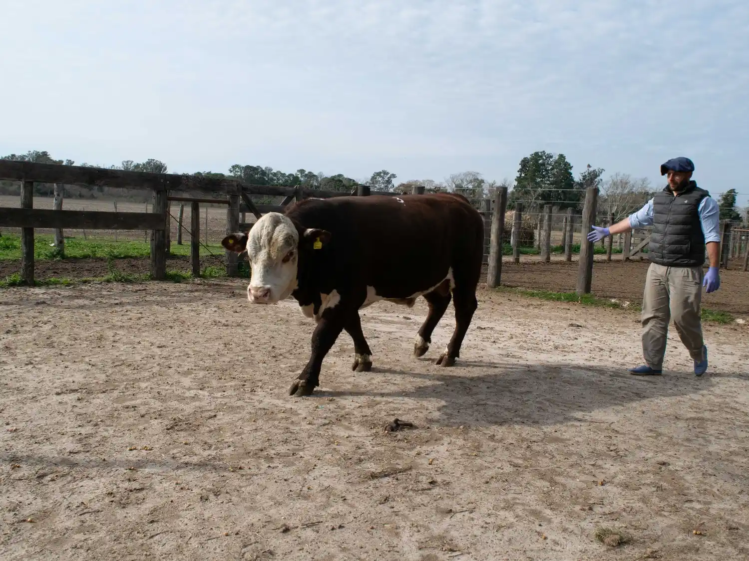 Gran expectativa por la Expo Rural Gualeguay 2025