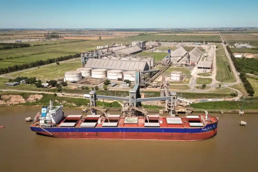 Campo Exportaciones Embarques