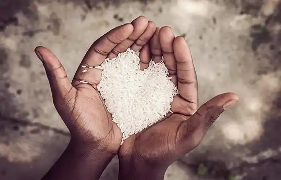 Con la comida que botan alimentarían a los pobres y sobraría