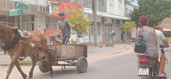 Informe de situación vial: Reconquista, la ciudad de la furia