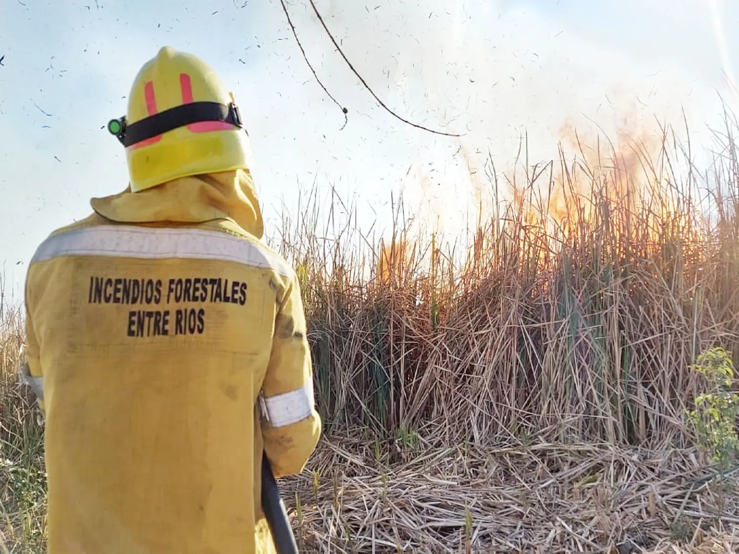 La provincia fortalece su estrategia de prevención y combate de incendios
