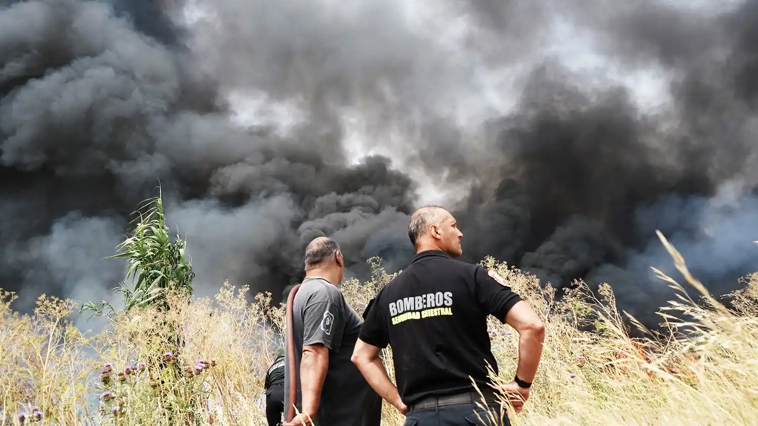 Los bomberos sofocaron cerca de 300 incendios durante enero