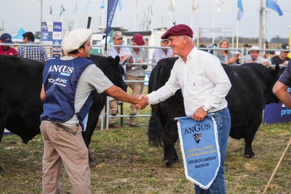 Santa Rosa y Nirihuau, los lotes grandes campeones terneros