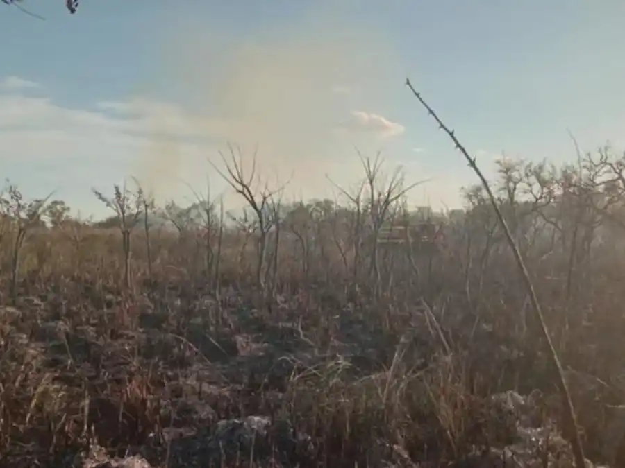 Los brigadistas lograron controlar las llamas a raíz del llamado del propietario de la zona afectada.