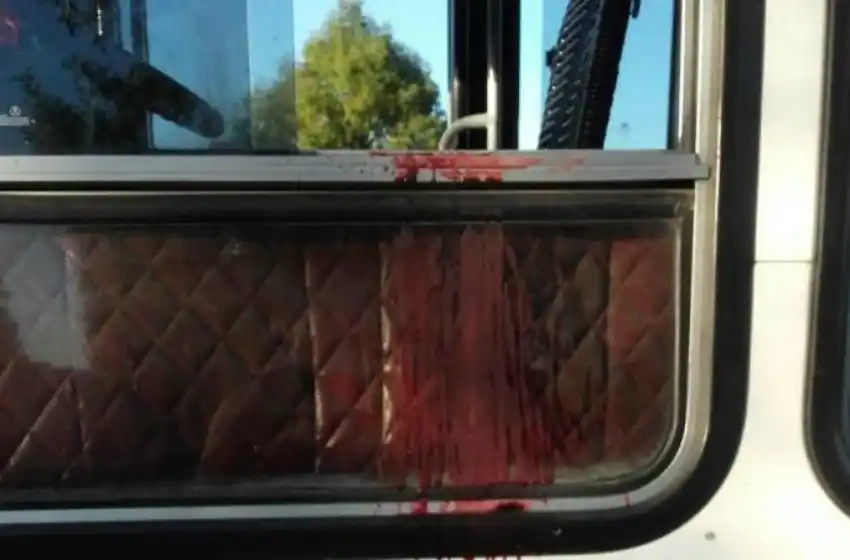 Asesinaron a un colectivero que hacía horas extras para poder ir al cumpleaños de su hija