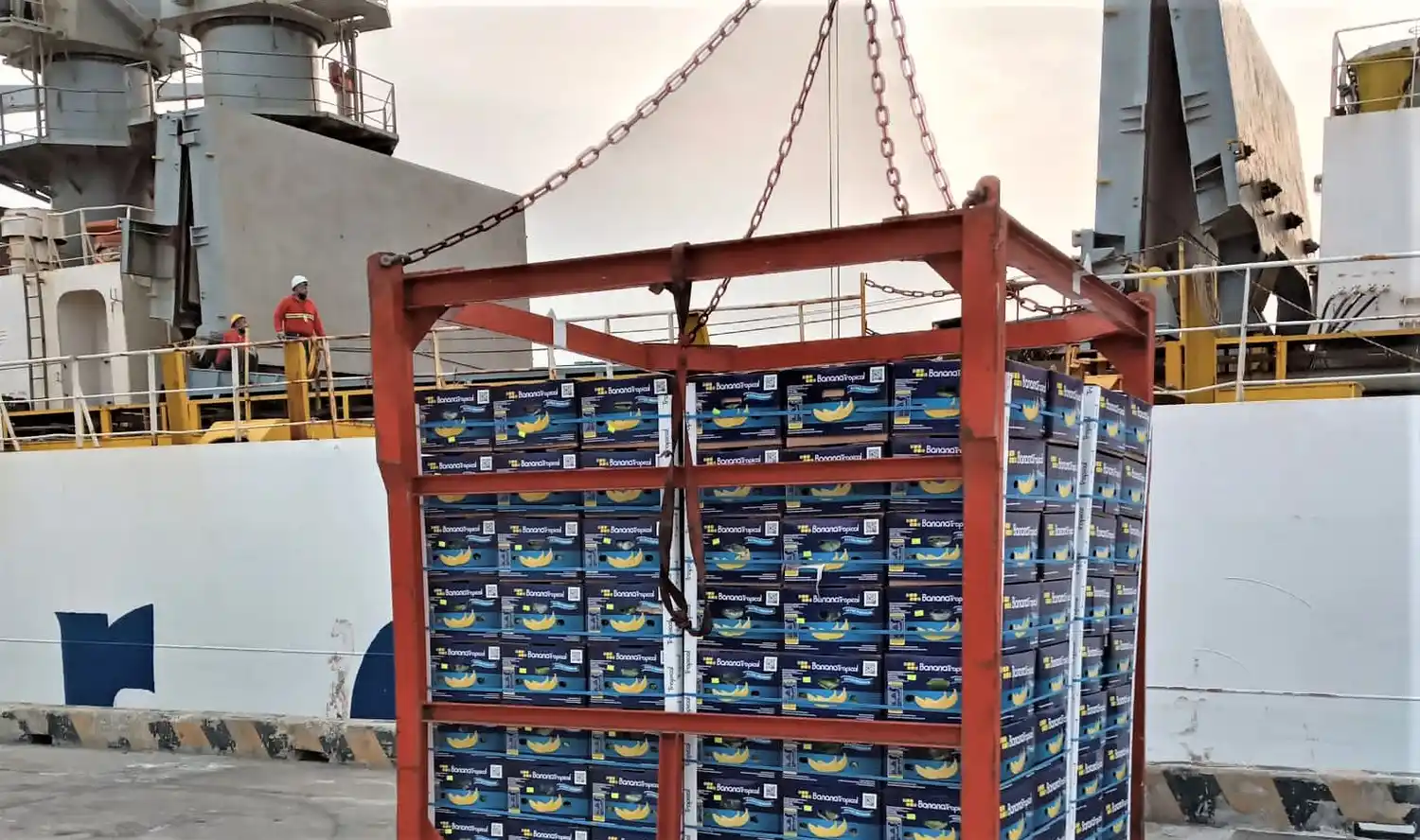 Importación de bananas de Ecuador: “Es una oportunidad única para el puerto de San Pedro”