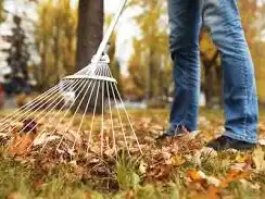 Otoño: se refuerzan recomendaciones de limpieza preventiva en los hogares