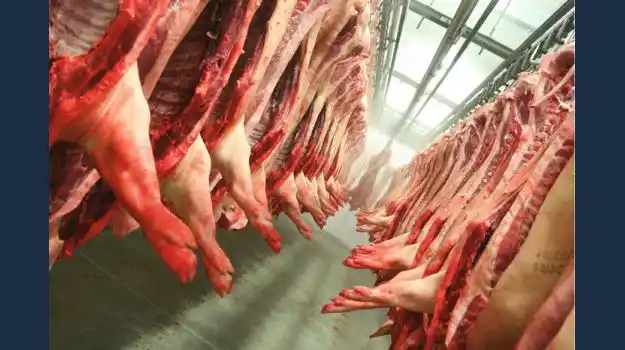 Crece en el país el consumo de cerdo y se estanca el de pollo
