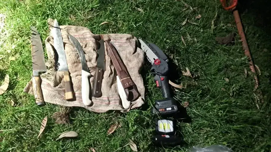 Sorprendieron a dos hombres faenando una vaca durante una constatación por usurpación - 3